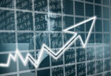 Jak opisać plany zawodowe?