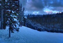 Na co iść po licencjacie z administracji? Na co iść po licencjacie z administracji?