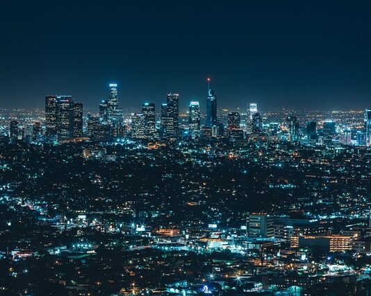 Czy firma jest organizacją?