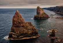 Co się pisze w head?