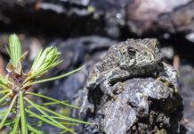 Czy przebieranie się wlicza się do czasu pracy?