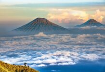 Co jest łatwiejsze Java czy JavaScript?