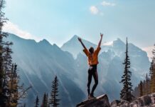 W jakim programie można stworzyć stronę internetową?