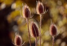 Czy w nazwie firmy musi być imię i nazwisko?