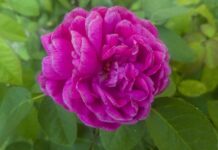 Ile wynosi najniższy ZUS na działalności?