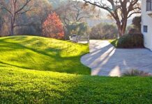 Kto wydaje zezwolenie?