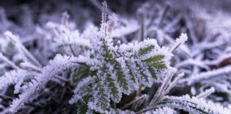 Co przysługuje na stopniu umiarkowanym?