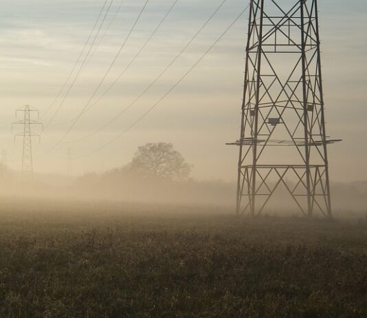 Jak dzielimy prawo gospodarcze? Jak dzielimy prawo gospodarcze?
