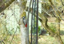 Jakie są dziedziny prawa? Jakie są dziedziny prawa?