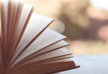 Jak założyć stronę internetową za darmo na WordPress?