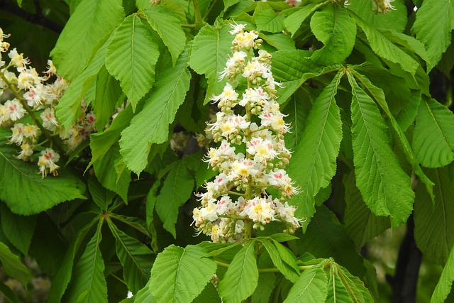 Co trzeba zdać na maturze żeby dostać się na prawo? Co trzeba zdać na maturze żeby dostać się na prawo?