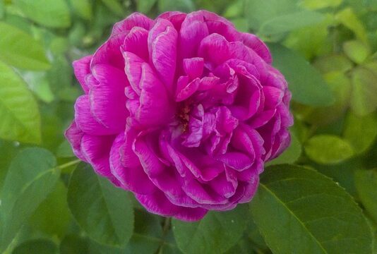 Ile wynosi ZUS po 2 latach działalności?