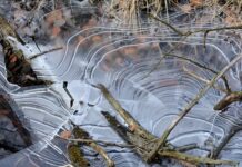 Kto pracuje przy tworzeniu aplikacji?