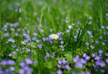 Co to za nagroda? Co to za nagroda?