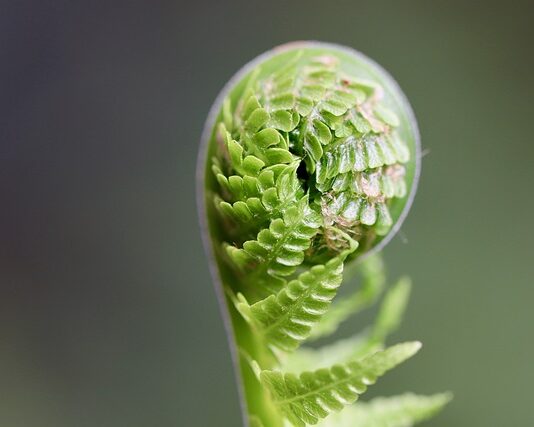 Ile osób kończy prawo?